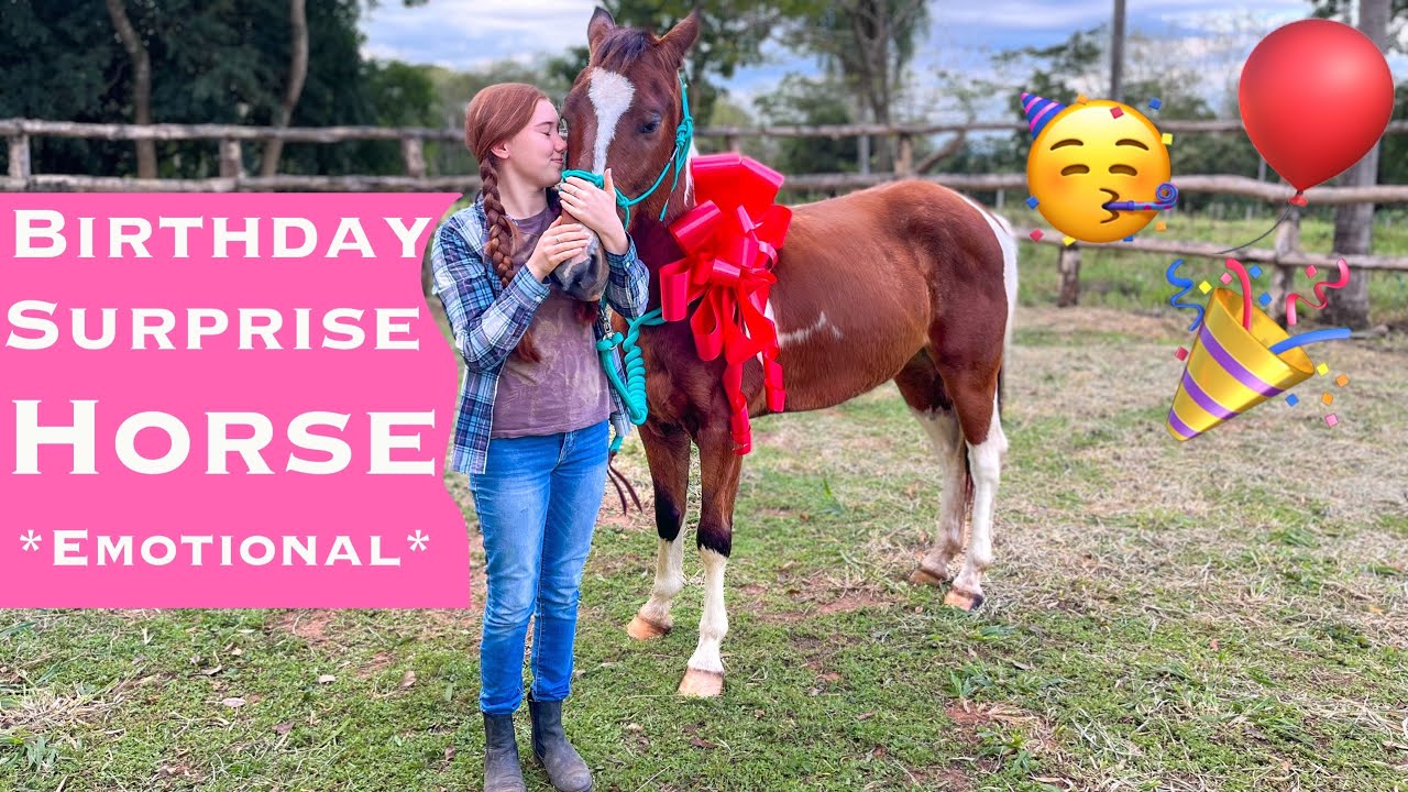 Surprising My Sister With Her First Horse!