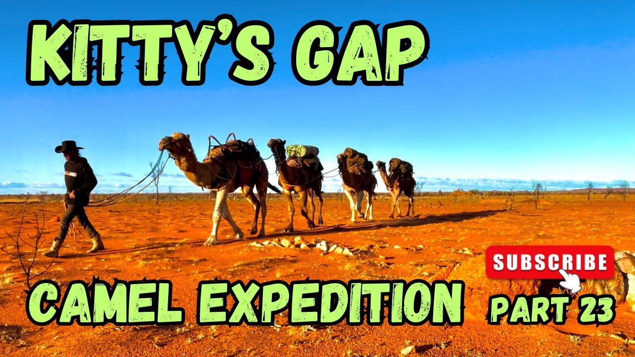 Camel expedition. Part 23. Kitty’s Gap.