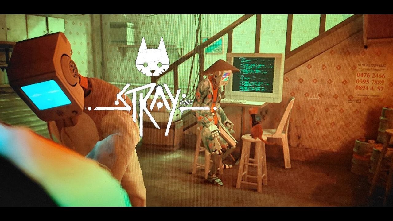 Пригоди в Stray #3