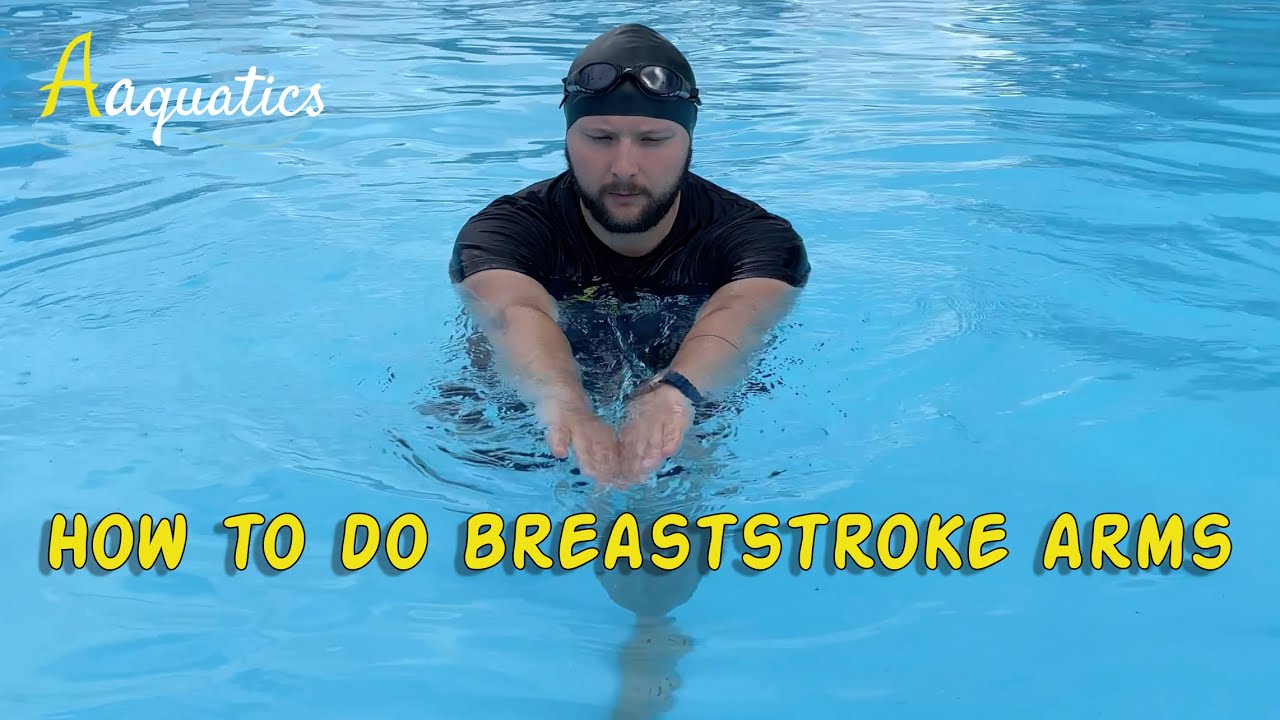 Swimming Basics - How to do Breaststroke Arms | Aaquatics