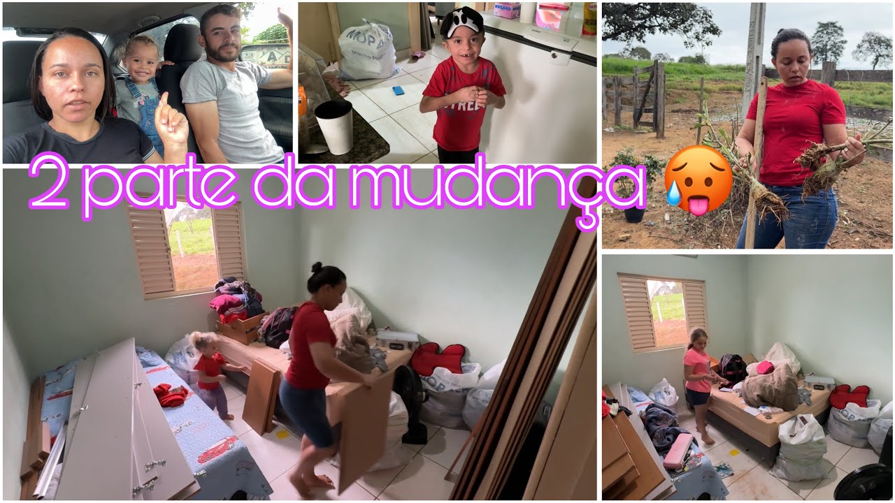 Quase tudo pronto pra nossa mudança 🥵tirei as minhas plantas 🪴 pra levar tava tudo podre 😢