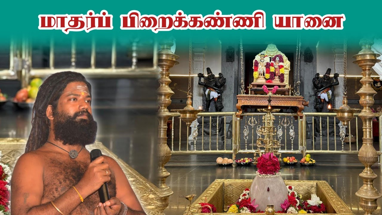 மாதர்ப் பிறைக்கண்ணி யானை | Madar Pirai Kanni Yanai
