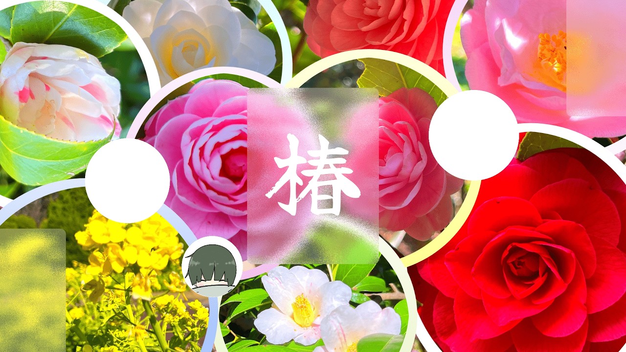 春待つ植物園。| 京都府立植物園