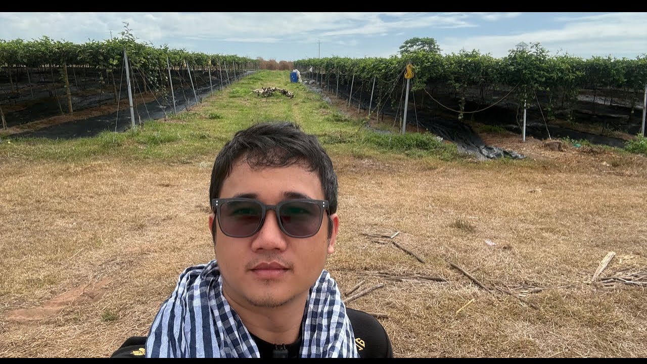 Chuyên Án mới tại bìa rừng