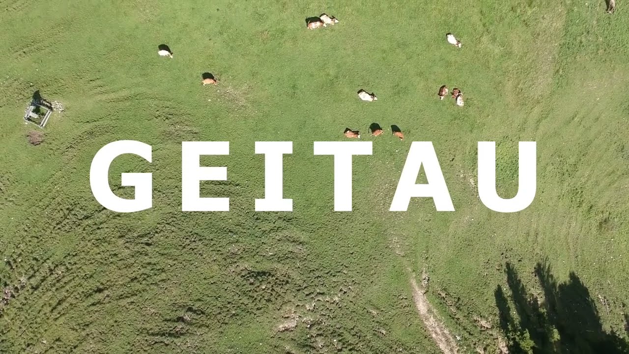 Geitau