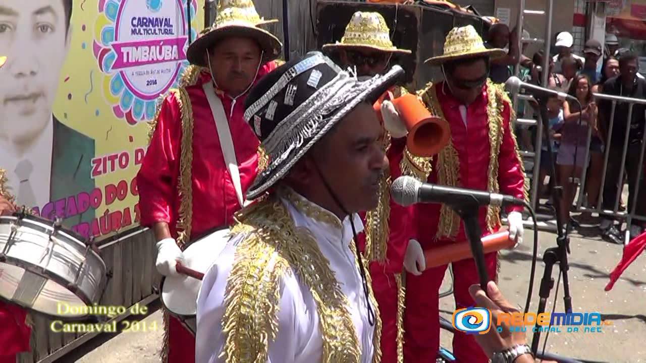 Carnaval em Timba&uacute;ba PE | 2014 | Domingo