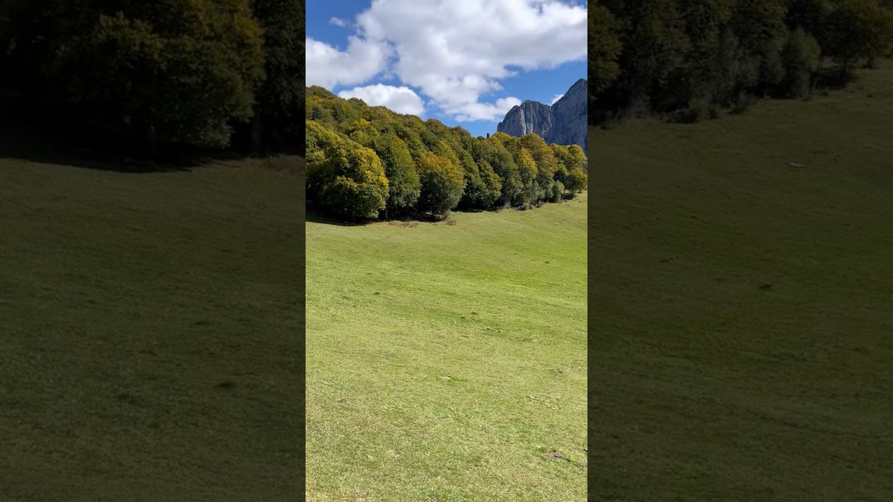 Cainallo