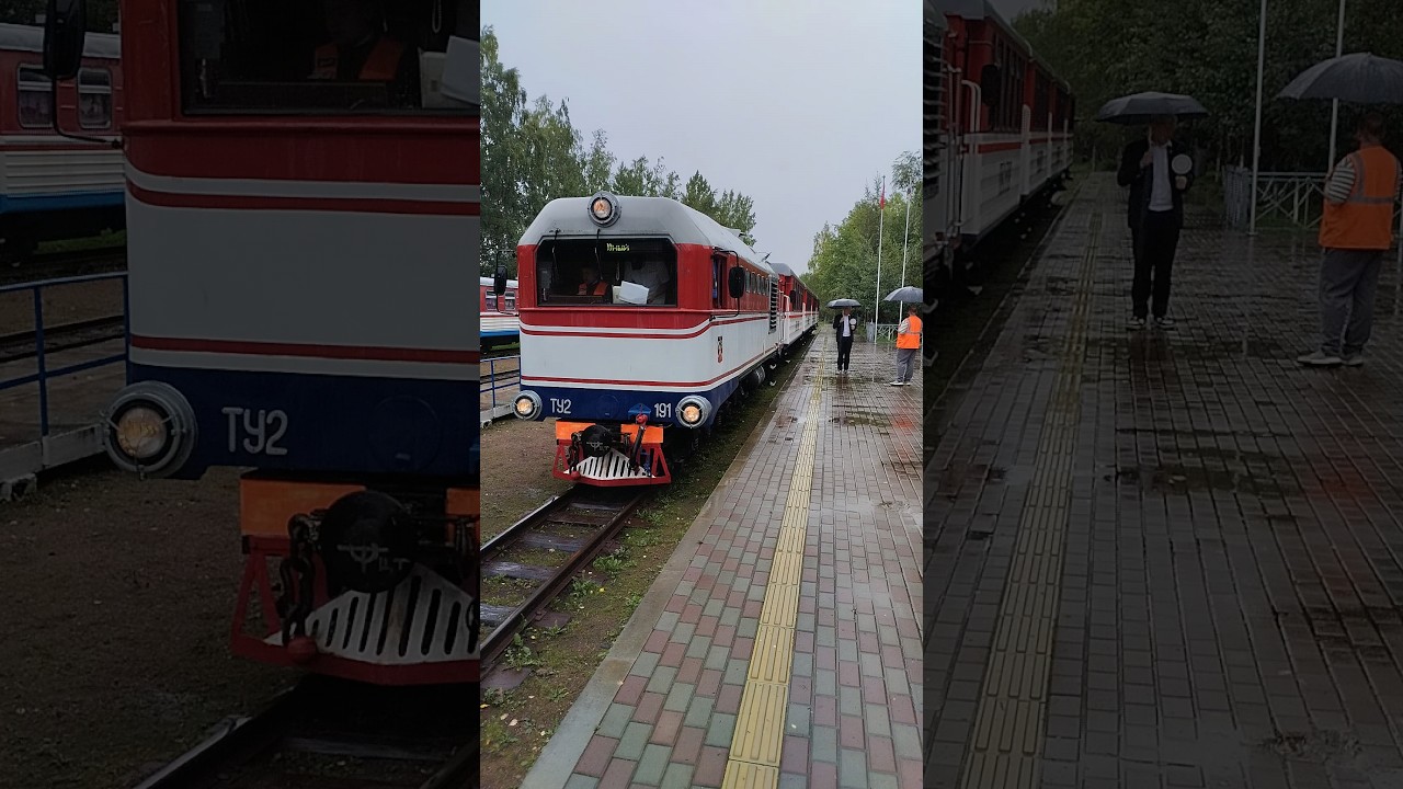 ТУ2 - 191 с пионерами / Сообщения: Озёрная - Юный / Ст. Озёрная    #train #ржд #рждмояработа #рждтоп