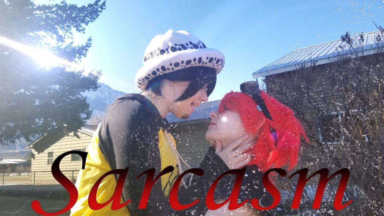 Sarcasm | A KidLaw CMV