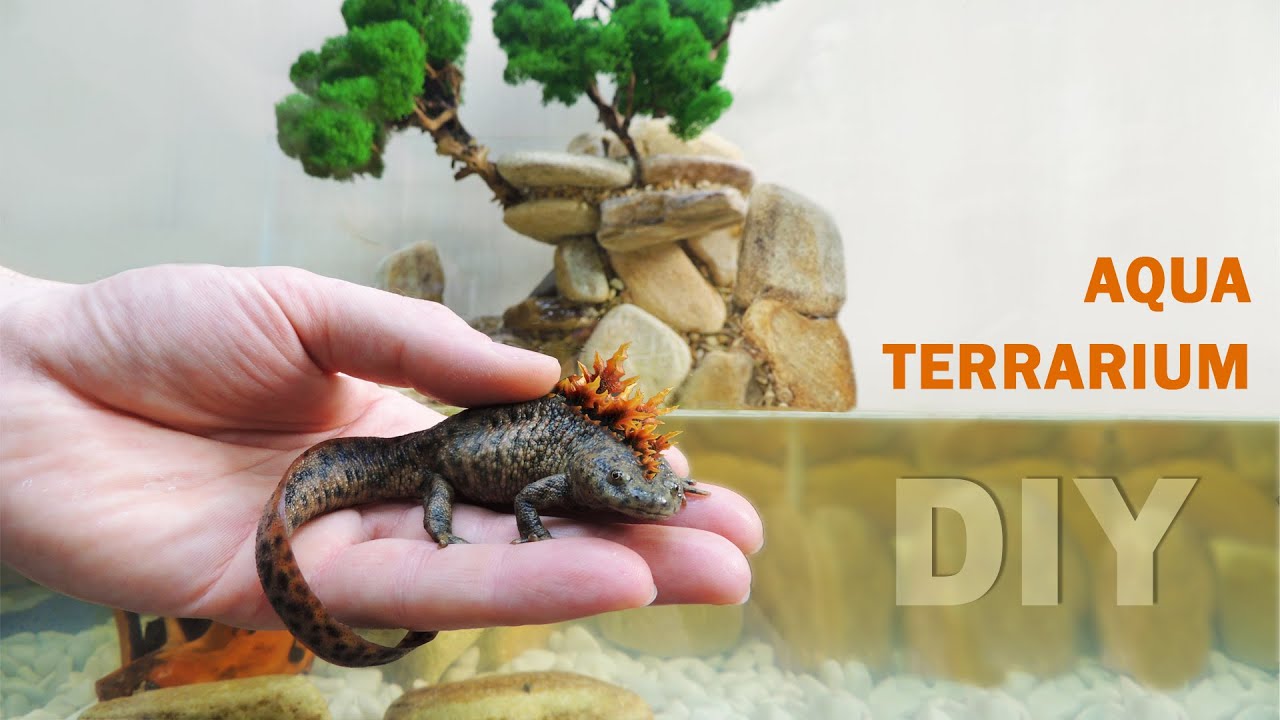 Create your own world: DIY Aquaterrarium decoration for little Godzillas!
