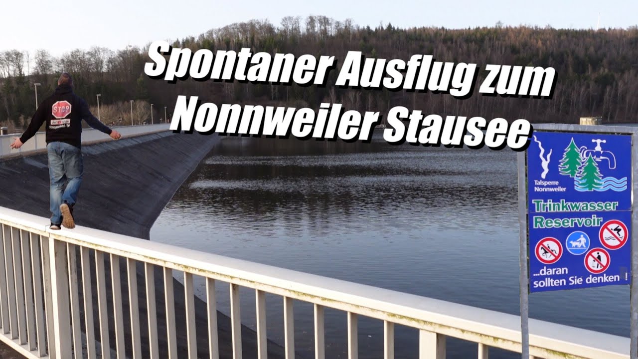 Fr&uuml;hlingssonne Spaziergang Saarland - Spontaner Ausflug zum Stausee Nonnweiler