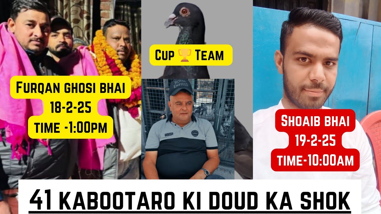 41 Kabootar Ki Doud || 2 Chato Ka Lajawab Shok ||@pigeonscarefactory5328