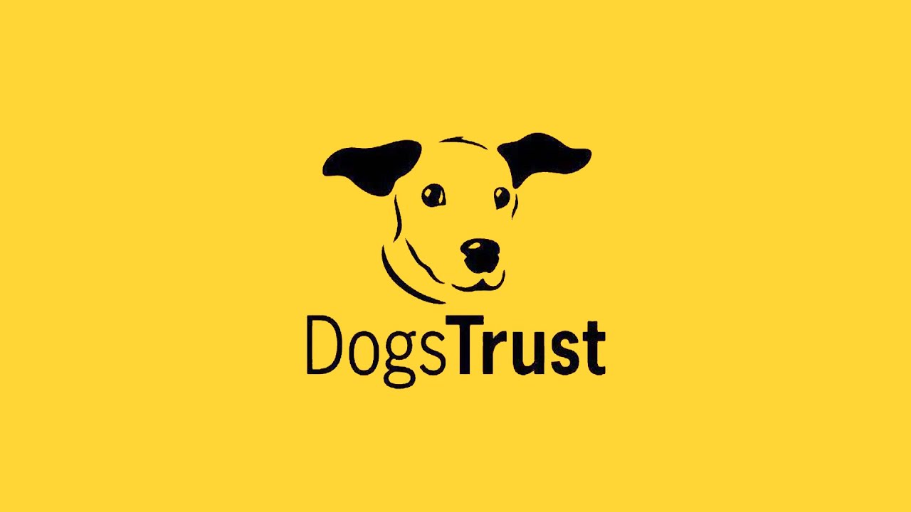 Dogs Trust Dublin Virtual Tour 25.09.2020