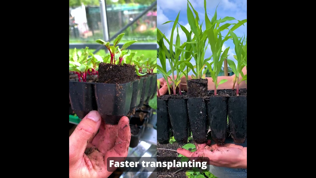 Finally durable seed trays
