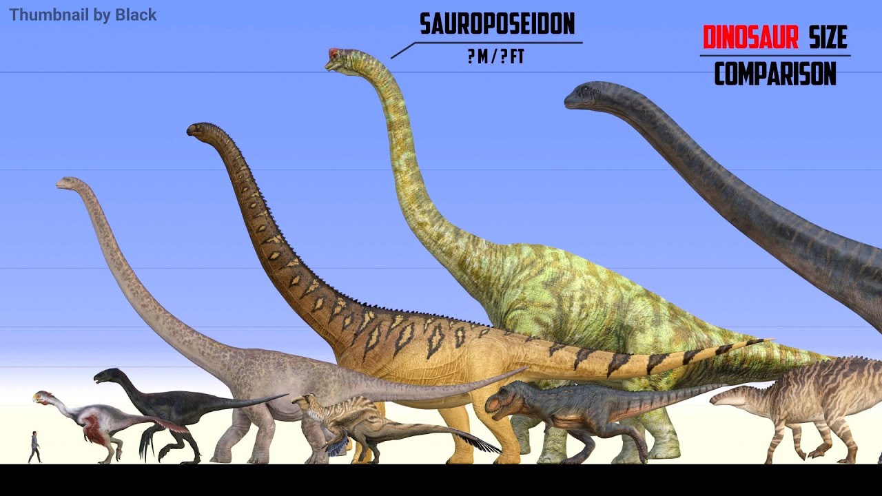 Dinosaur Size Comparison 2025 | Dinosaurs Size in Perspective