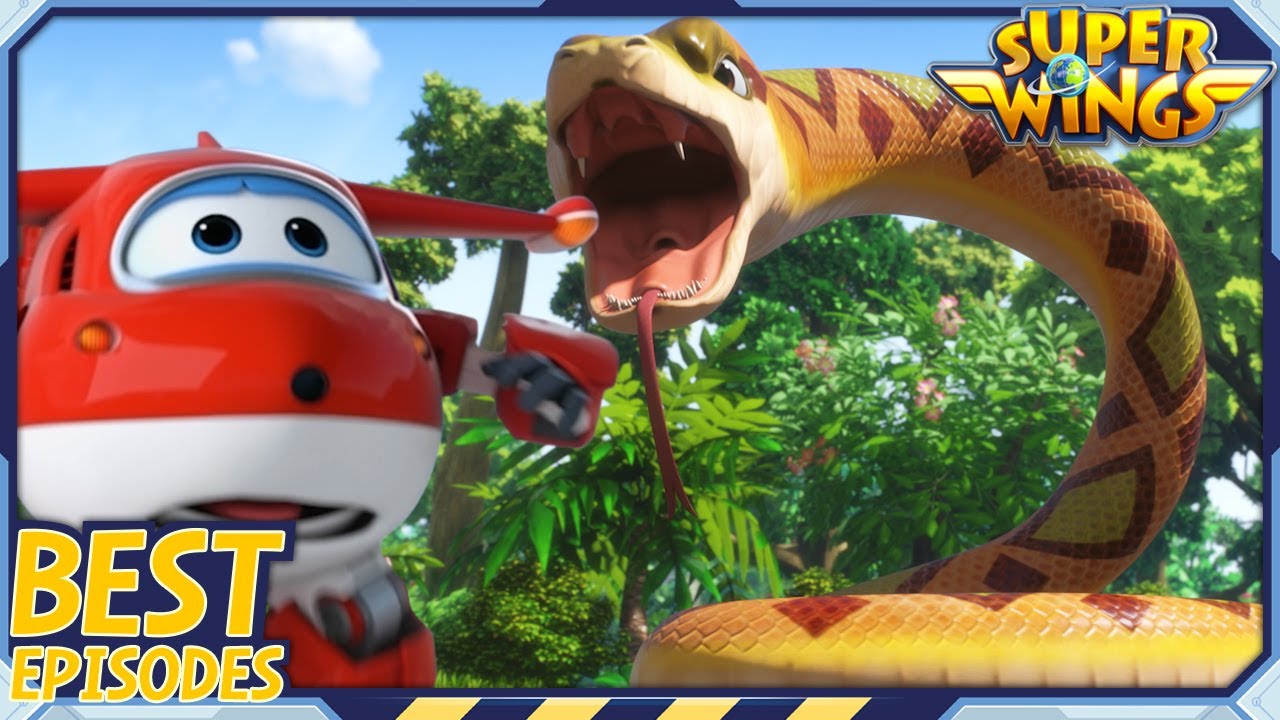 [SUPERWINGS Best] Wild Animal Adventure | Superwings | Super Wings | Best Compilation A31
