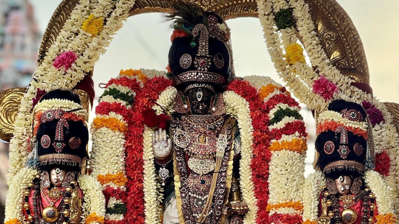 ஏகாதசி - Shri Parthasarathy Swami