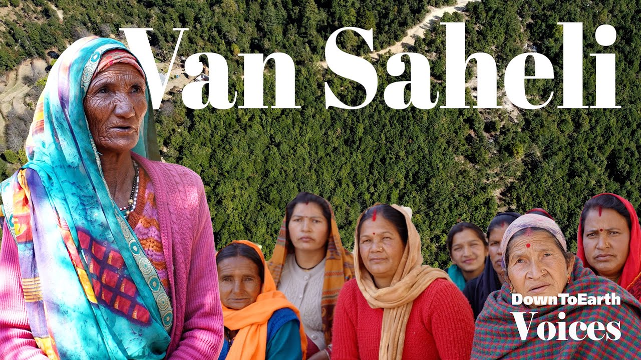How did the women of Champawat lead a silent revolution of saving the forest | Van Saheli | DTE Docs