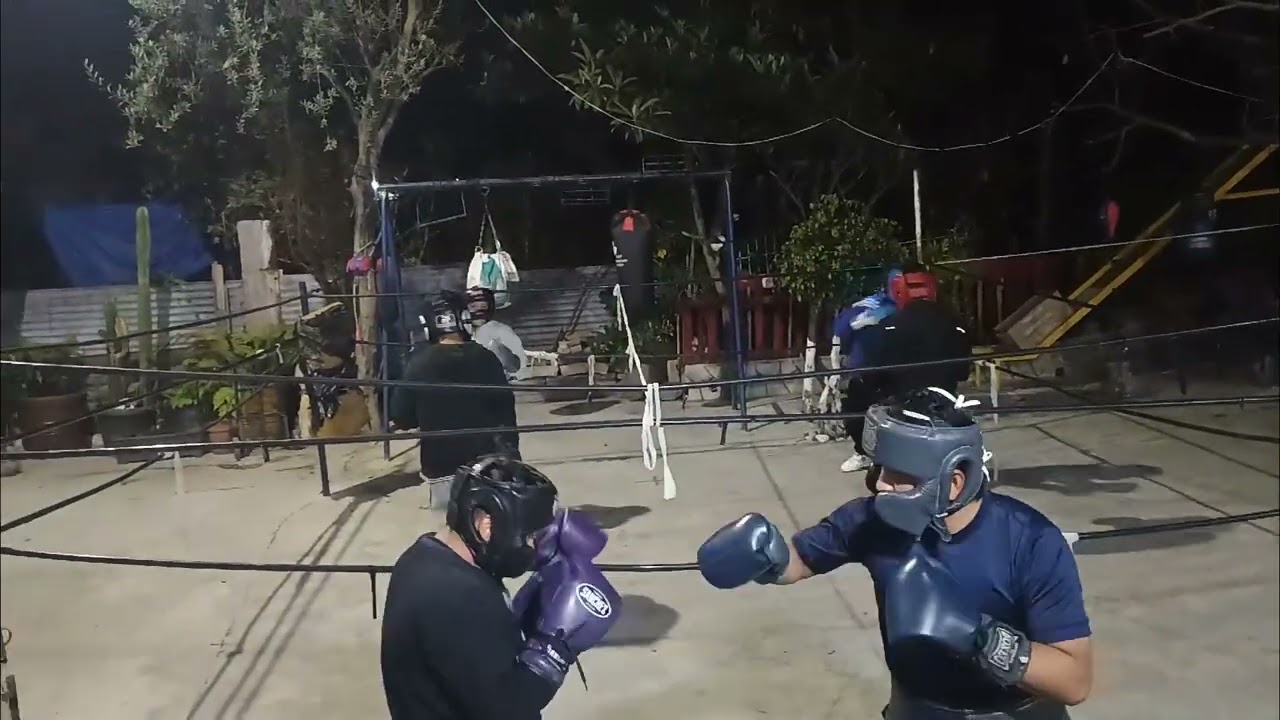 MIRMIDONES 