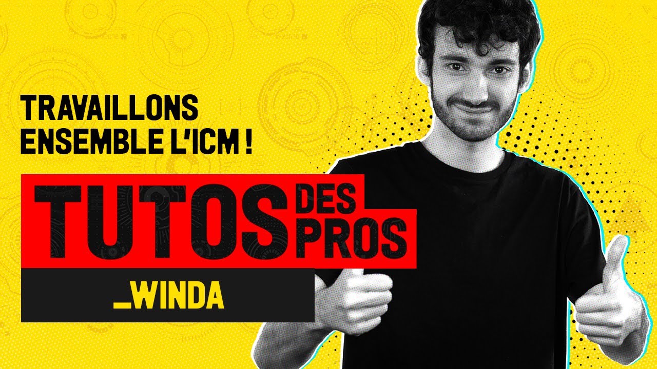 ♠♥♦♣ Travaillez l'ICM avec _WINDA