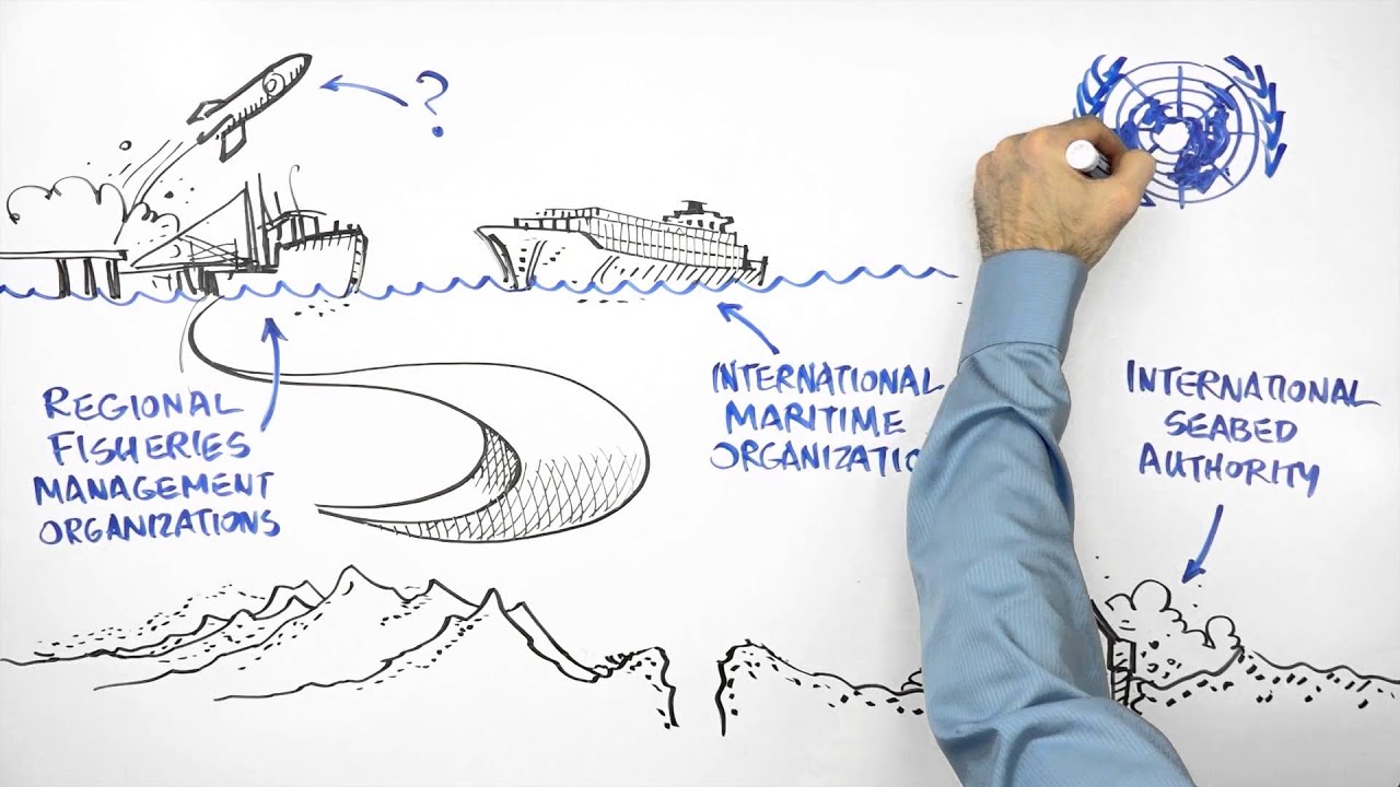 What Are the High Seas? Why Do They Need Help? | A Whiteboard Explainer