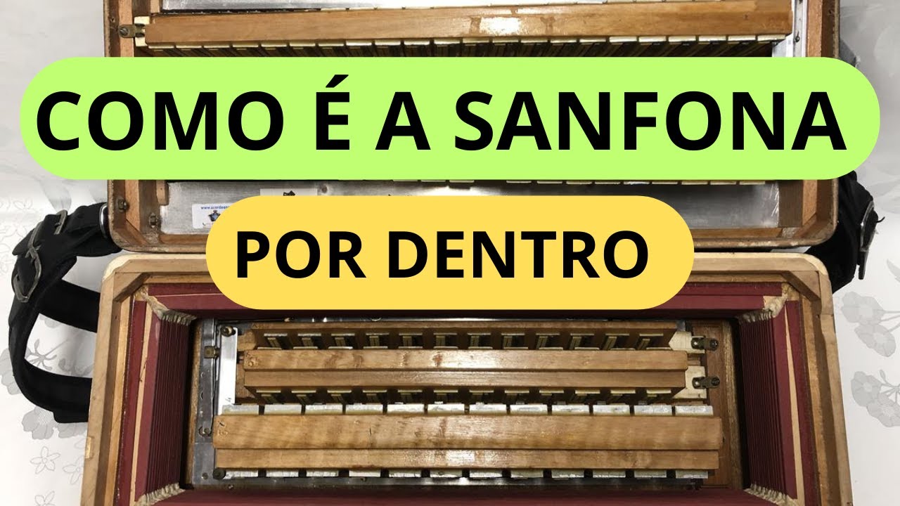 OLHA O QUE TEM DENTRO DA #sanfona #acordeon