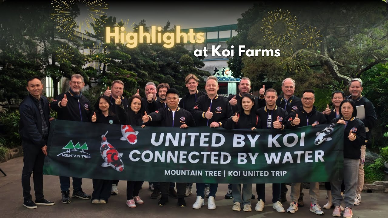 Mountain Tree Koi United Trip—Uncover Chinese Premium Koi Farms