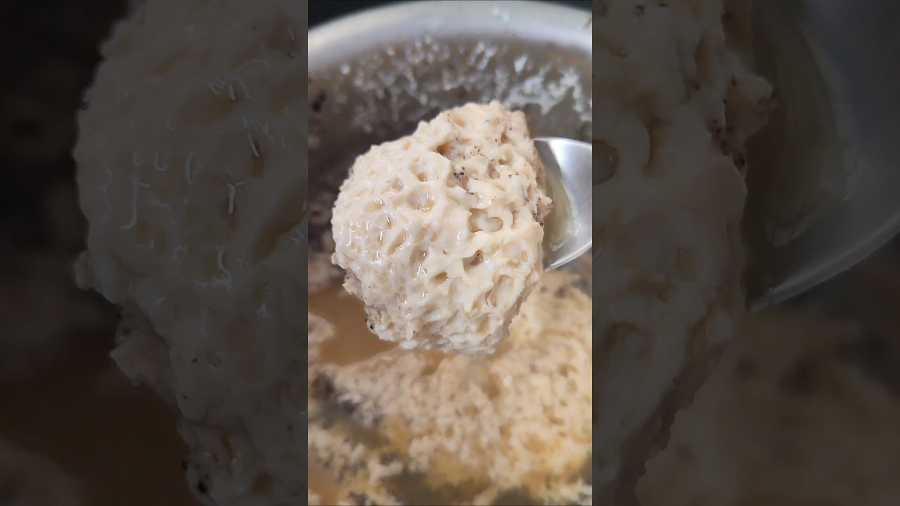 #tried instant junnu powder🧑&zwj;🍳 disappointed ☹️#youtube shorts#recipe #milk#kamadhenu#food#junnu
