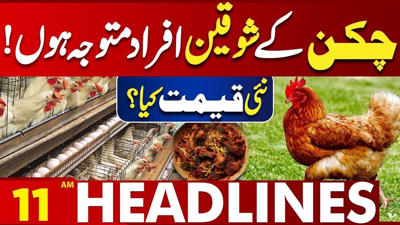 Important News Regarding Chicken | What's the New Price? | 11 AM Headlines