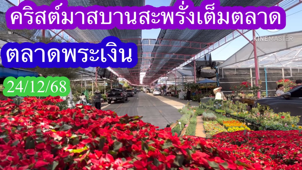 #ตลาดพระเงิน#คริสต์มาส #24/12/68￼