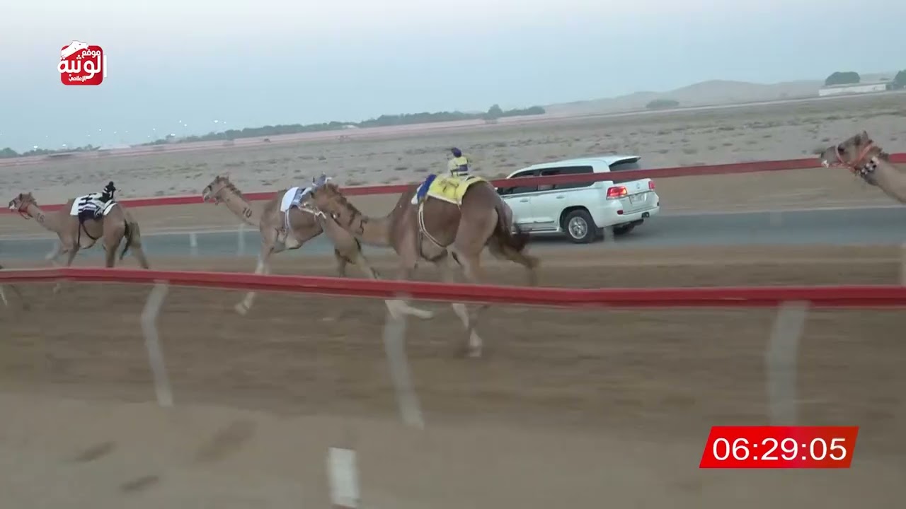الشوط 1 (سرابه) لـ حفيظ سعيد بن ناجي الغفراني 9:32 ، شارة الديوان 2025/11/15 ثنايا سويحان