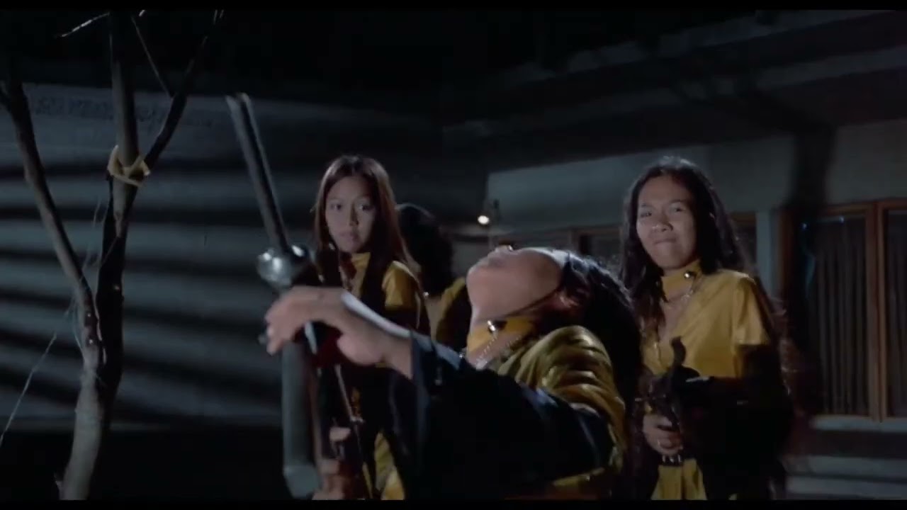 Wonder Women 1973 or Liebesgrüße aus Fernost 1973 (deutsch) Fights