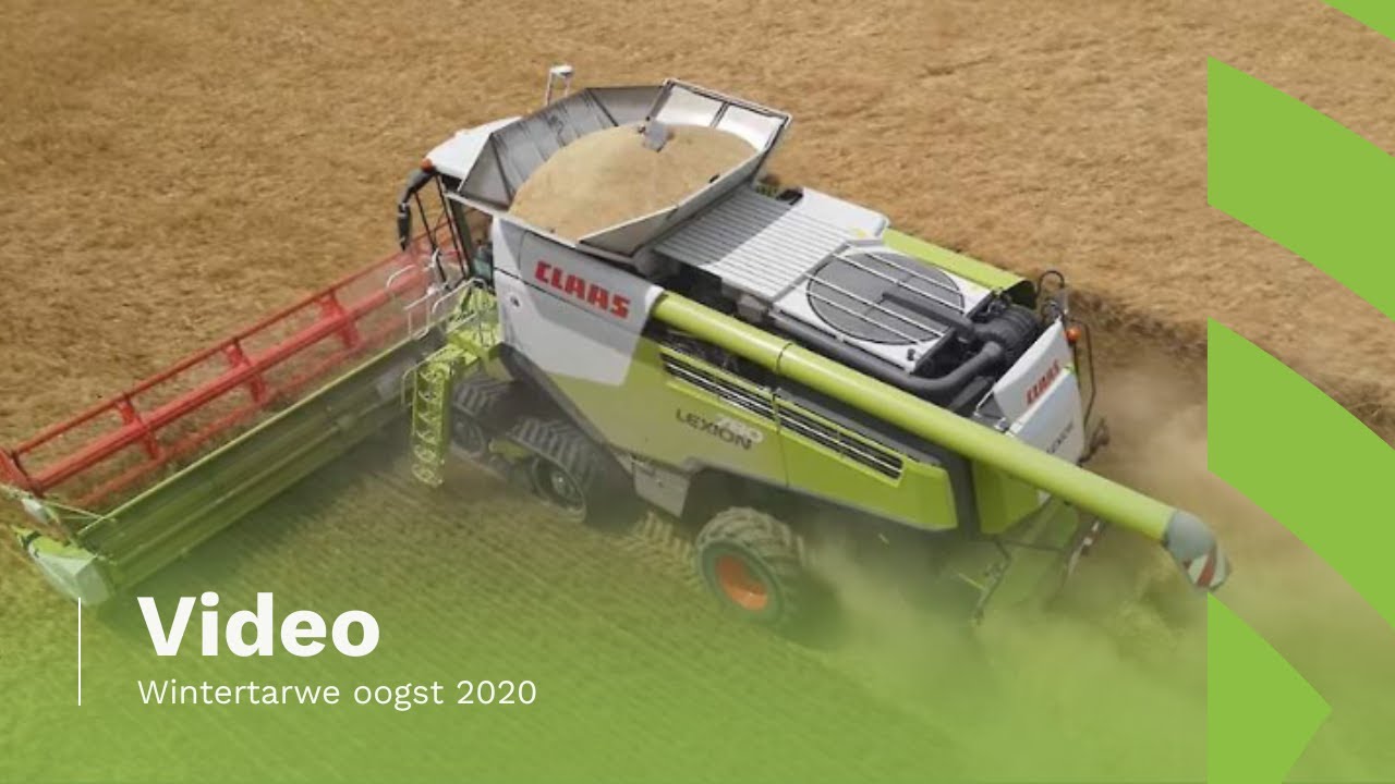 Wintertarwe oogst 2020