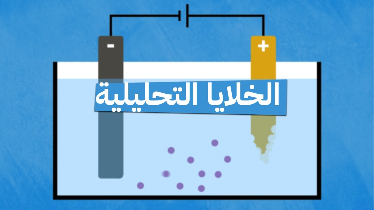 كيف تعمل الخلايا التحليلية؟ [أنيميشن]