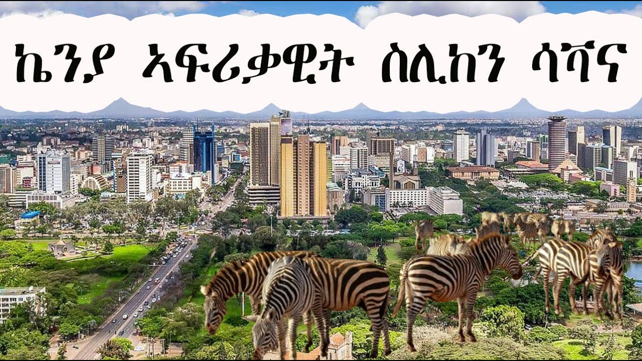 Mestyat Alem | ኬንያ ኣፍሪቃዊት ስሊከን ሳቫና
