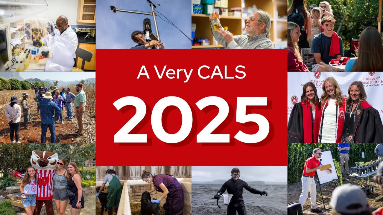 A Very CALS 2025 – A Year in Review