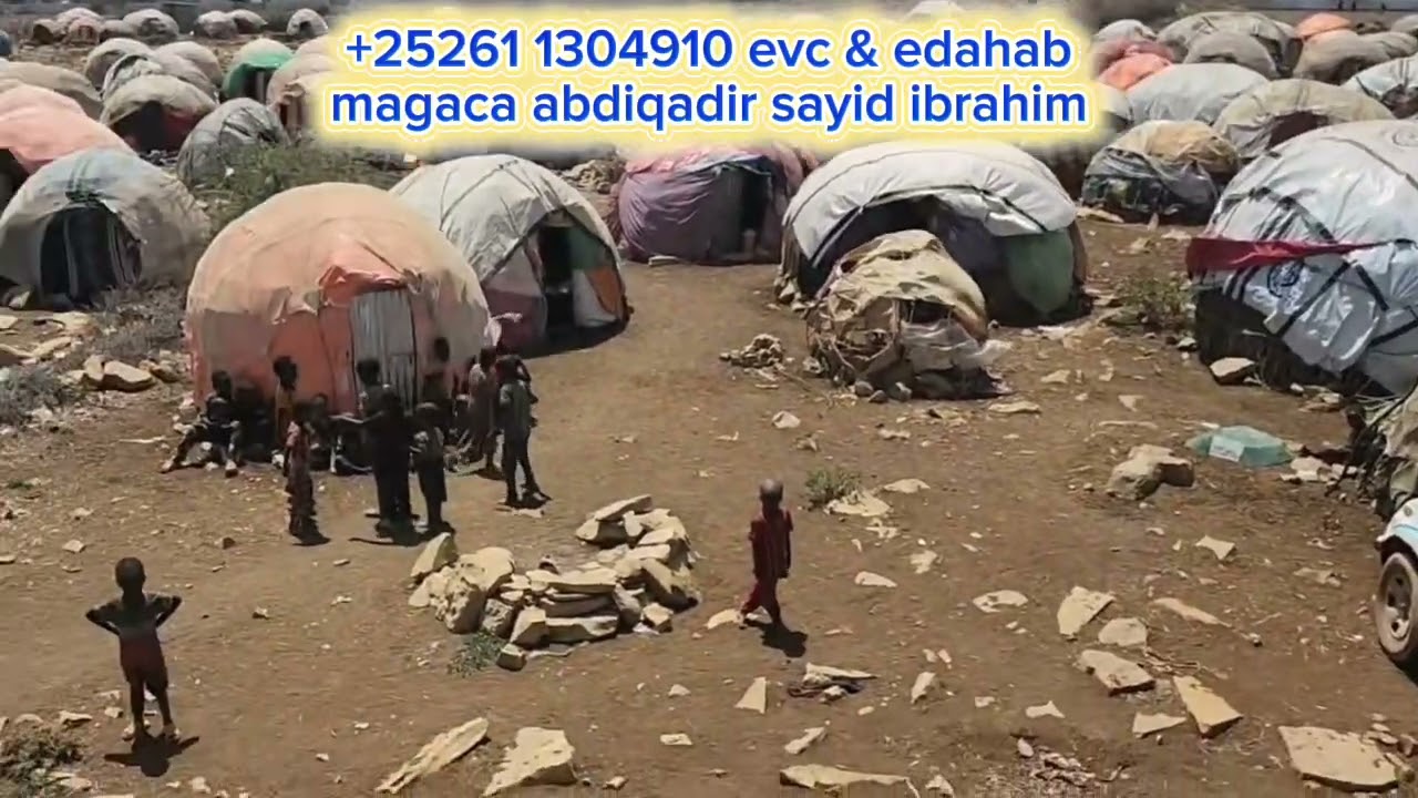 30/1/2026 BIYO DHAAMIN LAHUBO IYO DAD LAHUBO IN AY AAD U OOMANYIHIIN BOOYADI WAA 50$ O KELIYA