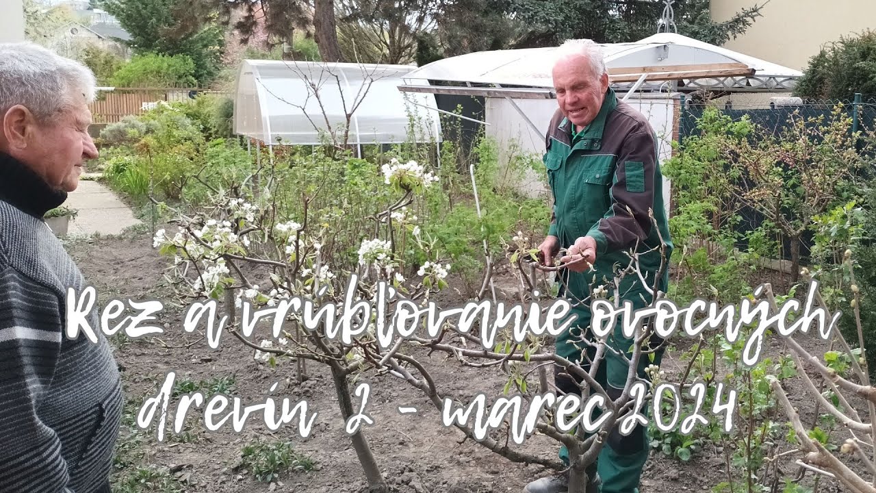 Rez a vrúbľovanie 2 - marec 2024