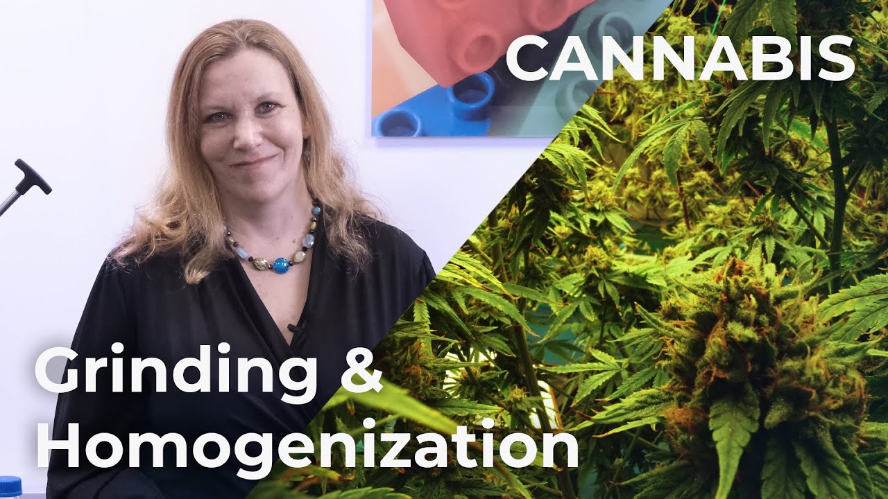 Optimized Cannabis Processing: Expert Insights from Dr. Tanja Butt - RETSCH