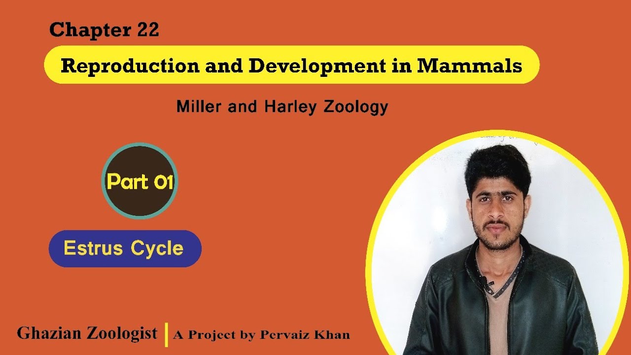 Reproduction and Development in Mammals
