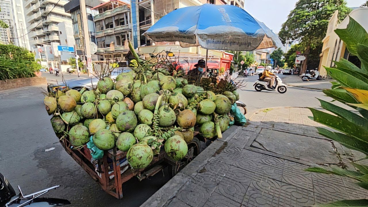 Wow!!! Amazing skills cutting fresh coconuts - fruit cutting skills