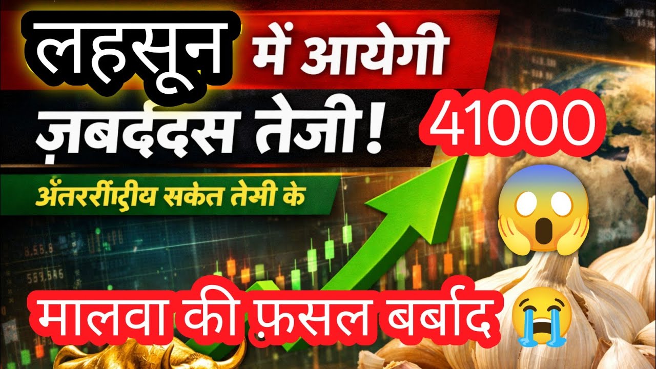 लहसून मे आयेगी तूफानी तेज़ी के समर्थन में बाजार, अंतर्राष्ट्रीय के संकेत, उपज, स्टॉक कम, 