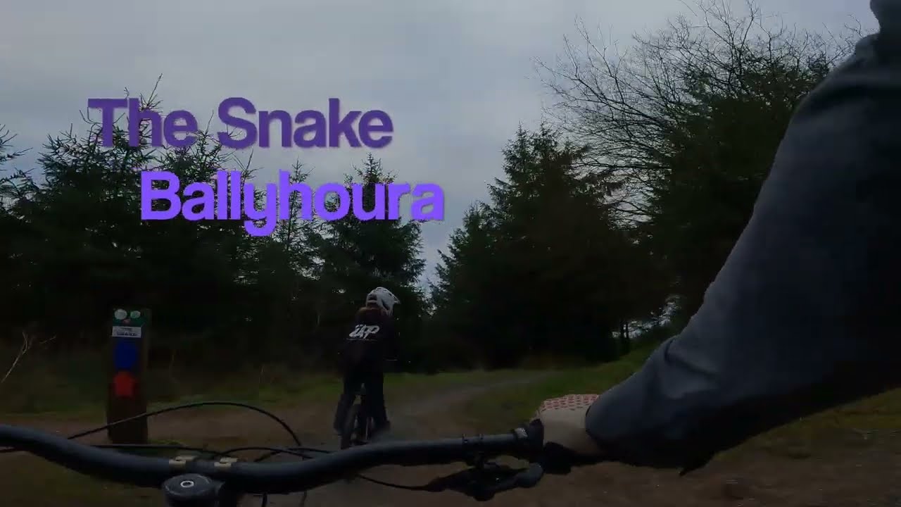 Snake, Ballyhoura Trails