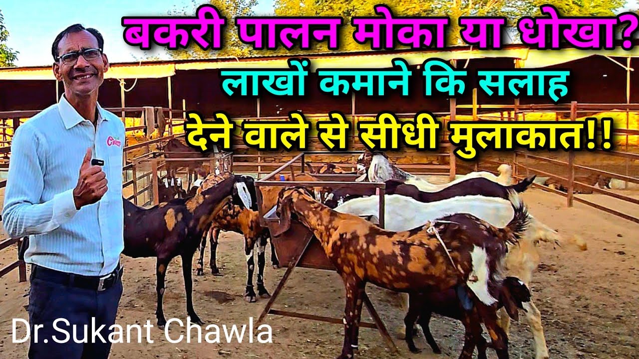 बकरी पालन मोका या धोखा | Bakri Palan Moka Ya Dhokha | Saleem Bhai | Sukant Chawla | Goat Farming 🐐
