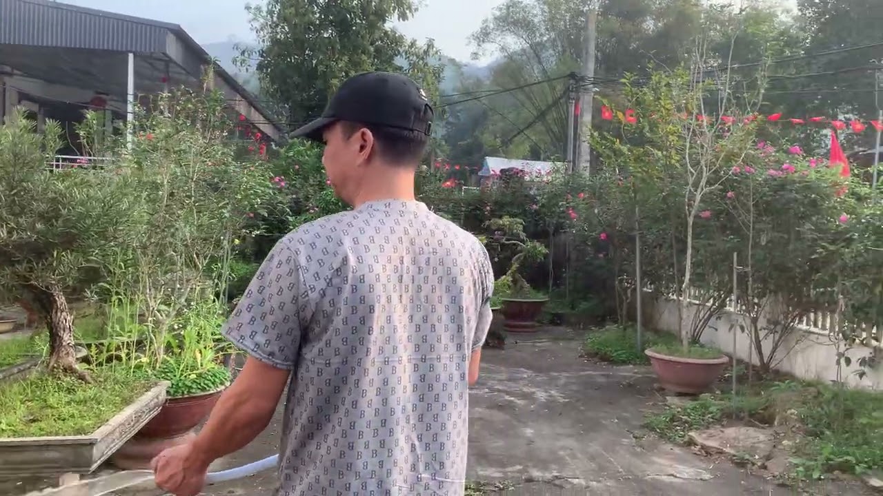 Buổi chiều những ngày không mưa