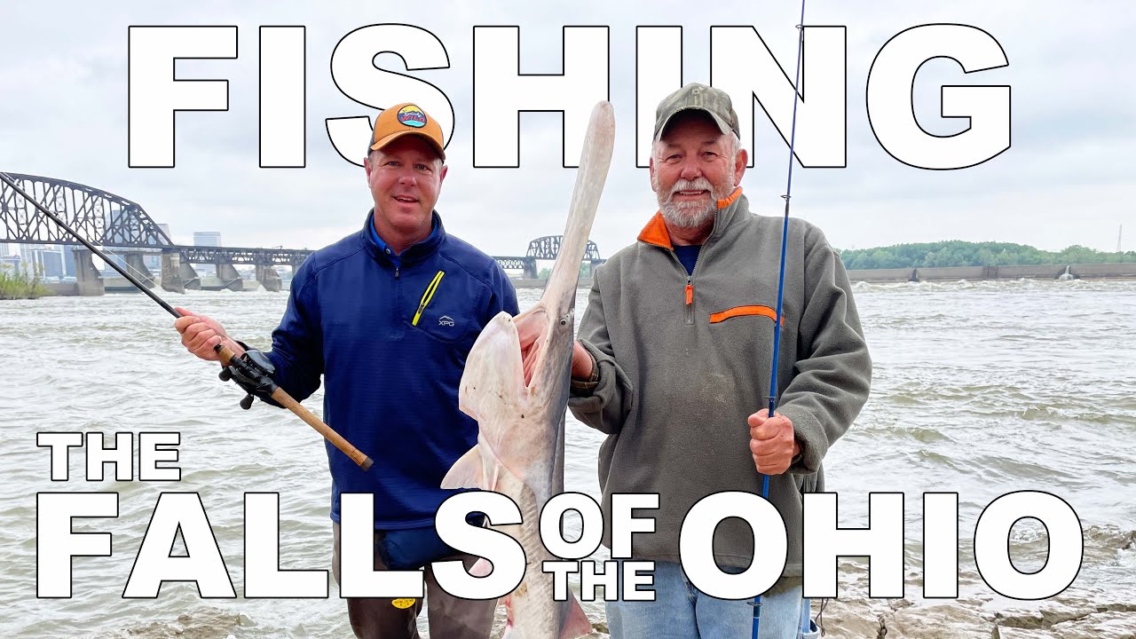 Four Species of Fish at the Falls of the Ohio