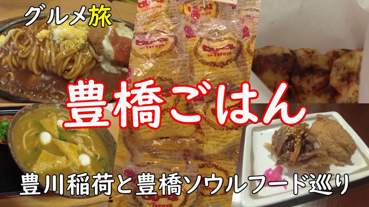 【豊橋グルメ】豊川稲荷と豊橋ソウルフード巡り【カレーうどん・たこやき・あんかけスパ・ピレーネ】