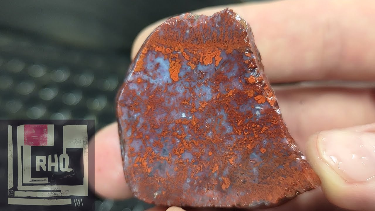 Spring Rockhounding Adventure | Rockhounding A Tree Frog Utopia