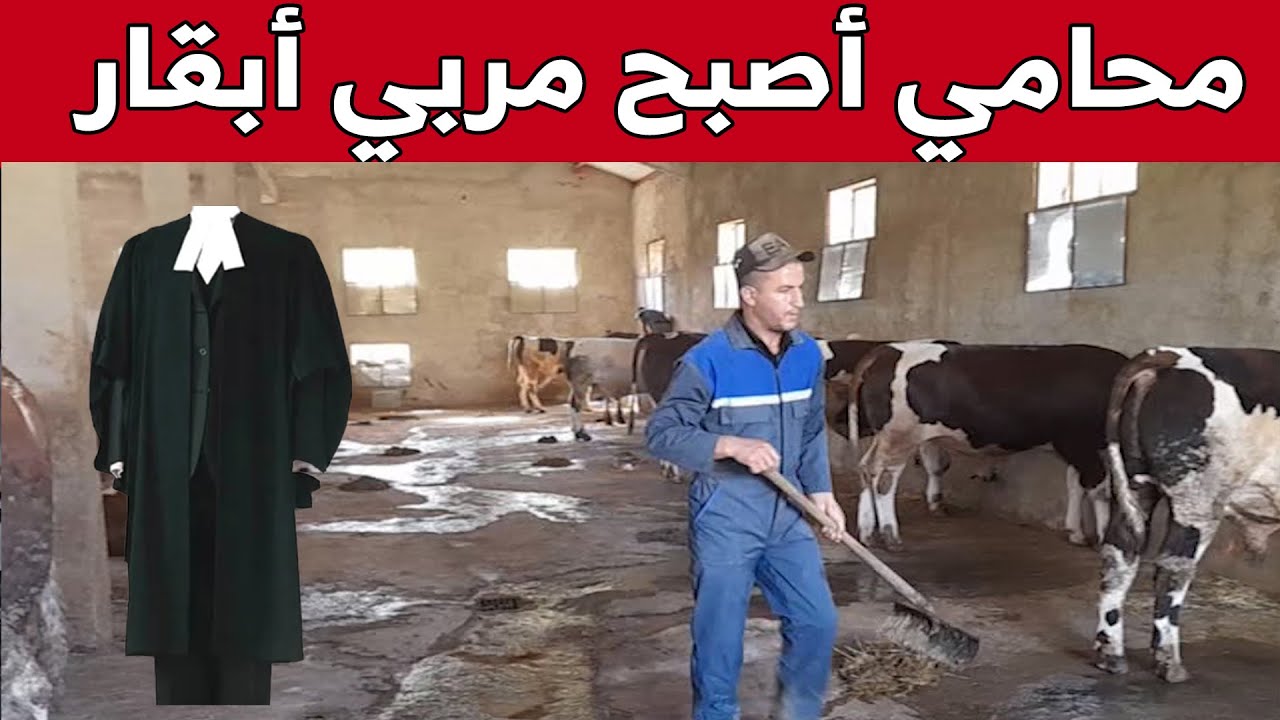 هشام