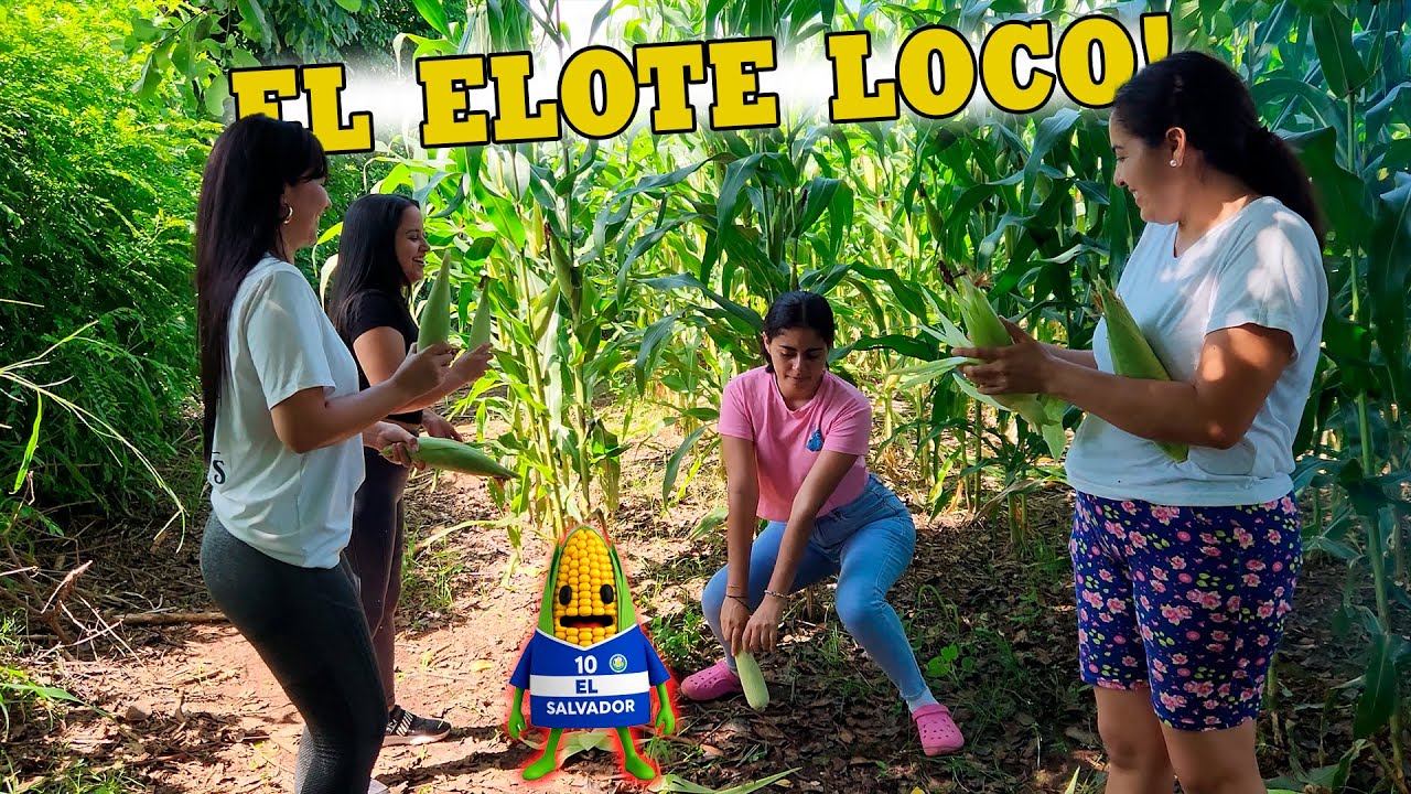 Nuevo Baile 